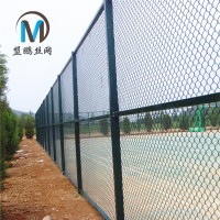 定制體育操場圈地隔離圍網 邊坡防護鍍鋅包塑勾花網