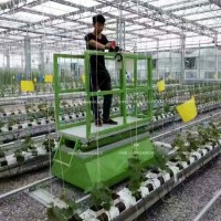 溫室大棚采摘車小型軌道全自動載人高空作業(yè)升降機家用小型載豬臺