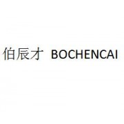 蘇州伯辰才企業服務有限公司
